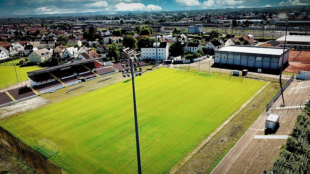 尽管替补球 尽管替补球